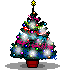Noel 14