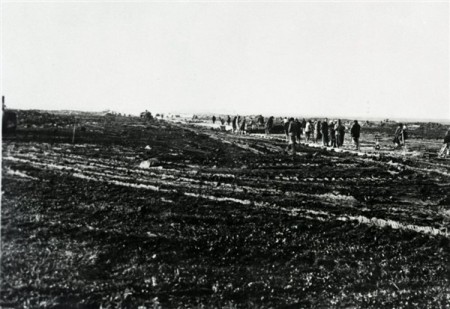bricy110.jpg