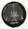 z  jaguar.jpg