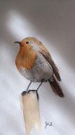 https://www.waibe.fr/sites/adelinart/medias/images/__HIDDEN__galerie_6/IMG20260222140902.jpg