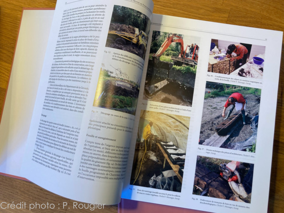 B04C Prodeo FB 960w 720h pr03  r 