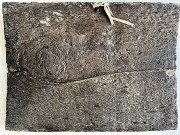 IMG 7219