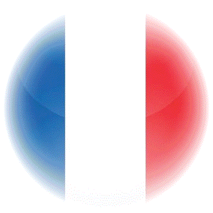 drapeau francais 2