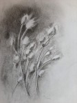 https://www.waibe.fr/sites/artsetcouleurs49/medias/images/__HIDDEN__galerie_23/Marie_D.jpg