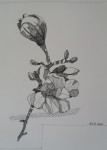 https://www.waibe.fr/sites/artsetcouleurs49/medias/images/__HIDDEN__galerie_24/Marie-Claude_B__1_.jpg