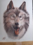 https://www.waibe.fr/sites/artsetcouleurs49/medias/images/__HIDDEN__galerie_26/Chris__2_.jpg