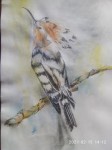 https://www.waibe.fr/sites/artsetcouleurs49/medias/images/__HIDDEN__galerie_27/Genevieve__5_.jpg