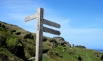 panneau bois et chemin