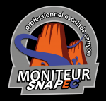 LOGO MONITEUR SNAPEC 1 