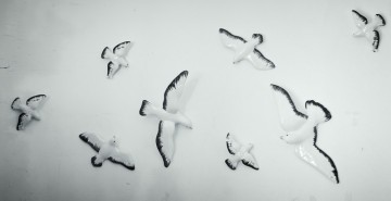 VOL DE MOUETTE CERAMIQUES VALLAURIS DNB