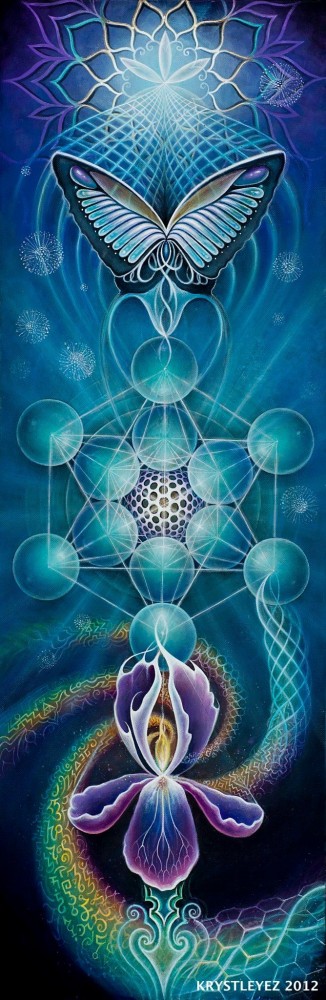 69da8ab521e7f9c22a1e3ec3fc394f5e