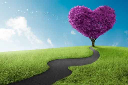 amour fotolia 52577291
