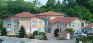 pont de veyle MFR