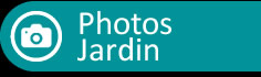 photos jardin