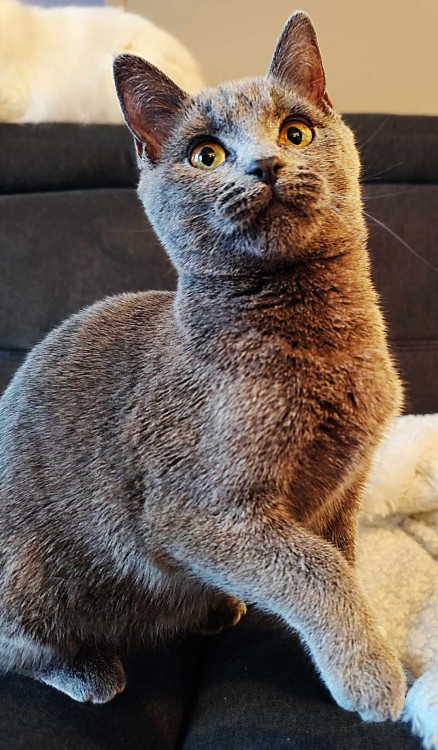 462582073 1737069373801028 6815919088490773263 n