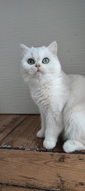 260002590 577157503344838 7020419277834762588 n