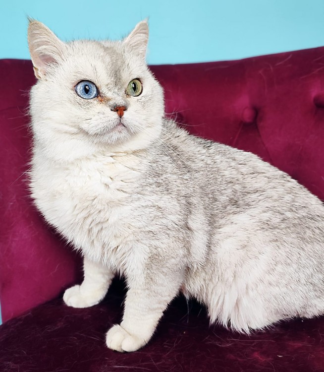 WhatsApp Image 2025 06 12 a 20.18.27 ac856f0d