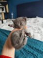 https://www.waibe.fr/sites/delphine59h/medias/images/__HIDDEN__galerie_13/IMG_20250423_150034.jpg