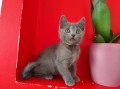 https://www.waibe.fr/sites/delphine59h/medias/images/__HIDDEN__galerie_13/IMG_20250609_164928.jpg