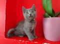 https://www.waibe.fr/sites/delphine59h/medias/images/__HIDDEN__galerie_13/IMG_20250609_164934.jpg
