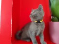 https://www.waibe.fr/sites/delphine59h/medias/images/__HIDDEN__galerie_13/IMG_20250609_164946.jpg