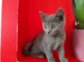 https://www.waibe.fr/sites/delphine59h/medias/images/__HIDDEN__galerie_13/IMG_20250609_164947.jpg
