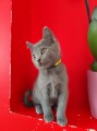 https://www.waibe.fr/sites/delphine59h/medias/images/__HIDDEN__galerie_13/IMG_20250609_165025.jpg