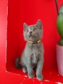 https://www.waibe.fr/sites/delphine59h/medias/images/__HIDDEN__galerie_13/IMG_20250609_165026.jpg