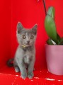 https://www.waibe.fr/sites/delphine59h/medias/images/__HIDDEN__galerie_13/IMG_20250609_165032.jpg