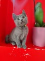 https://www.waibe.fr/sites/delphine59h/medias/images/__HIDDEN__galerie_13/IMG_20250609_165039.jpg