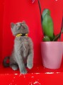 https://www.waibe.fr/sites/delphine59h/medias/images/__HIDDEN__galerie_13/IMG_20250609_165045.jpg