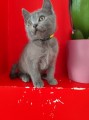 https://www.waibe.fr/sites/delphine59h/medias/images/__HIDDEN__galerie_13/IMG_20250609_165058.jpg