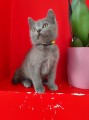 https://www.waibe.fr/sites/delphine59h/medias/images/__HIDDEN__galerie_13/IMG_20250609_165059.jpg