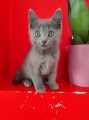 https://www.waibe.fr/sites/delphine59h/medias/images/__HIDDEN__galerie_13/IMG_20250609_165103.jpg
