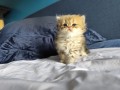 https://www.waibe.fr/sites/delphine59h/medias/images/__HIDDEN__galerie_13/IMG_20260908_141549.jpg