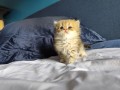 https://www.waibe.fr/sites/delphine59h/medias/images/__HIDDEN__galerie_13/IMG_20260908_141550.jpg