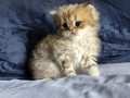 https://www.waibe.fr/sites/delphine59h/medias/images/__HIDDEN__galerie_13/IMG_20260908_141709.jpg