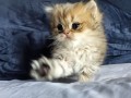 https://www.waibe.fr/sites/delphine59h/medias/images/__HIDDEN__galerie_13/IMG_20260908_141717.jpg