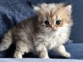https://www.waibe.fr/sites/delphine59h/medias/images/__HIDDEN__galerie_13/IMG_20260908_141846.jpg