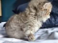 https://www.waibe.fr/sites/delphine59h/medias/images/__HIDDEN__galerie_13/IMG_20260908_141932.jpg