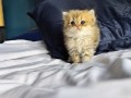 https://www.waibe.fr/sites/delphine59h/medias/images/__HIDDEN__galerie_13/IMG_20260908_141938.jpg