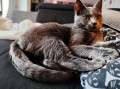 https://www.waibe.fr/sites/delphine59h/medias/images/__HIDDEN__galerie_14/462572828_596537596166282_5327561920741197385_n.jpg