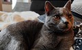https://www.waibe.fr/sites/delphine59h/medias/images/__HIDDEN__galerie_14/462646727_498536589202280_474729157243117905_n.jpg