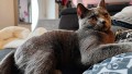 https://www.waibe.fr/sites/delphine59h/medias/images/__HIDDEN__galerie_14/462651990_1112073097216704_6374547595657495524_n.jpg