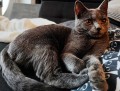 https://www.waibe.fr/sites/delphine59h/medias/images/__HIDDEN__galerie_14/466851834_8471104592999962_7621033059429095597_n.jpg