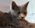 https://www.waibe.fr/sites/delphine59h/medias/images/__HIDDEN__galerie_14/467476882_1168672604678100_5651308080556174300_n.jpg