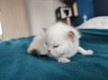 https://www.waibe.fr/sites/delphine59h/medias/images/__HIDDEN__galerie_15/IMG_20250422_144048.jpg