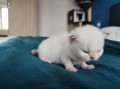 https://www.waibe.fr/sites/delphine59h/medias/images/__HIDDEN__galerie_15/IMG_20250422_144120.jpg