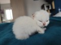 https://www.waibe.fr/sites/delphine59h/medias/images/__HIDDEN__galerie_15/IMG_20250422_144209.jpg