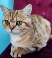 https://www.waibe.fr/sites/delphine59h/medias/images/__HIDDEN__galerie_15/IMG_20250612_154334.jpg